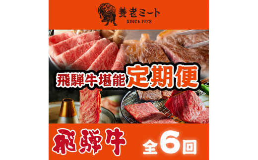 【6か月定期便】月替わりで色々な飛騨牛を楽しめる全6回