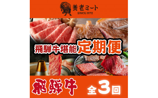【3か月定期便】月替わりで色々な飛騨牛を楽しめる全3回