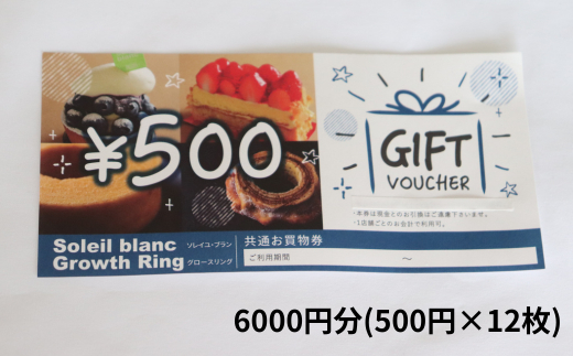 店舗利用券6000円分 2025/9/19～