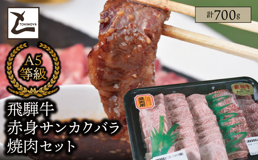 A5 飛騨牛 赤身 サンカクバラ 焼肉セット 計700ｇ｜岐阜県産 国産 黒毛和牛 ブランド牛 モモ肉 カタ肉 霜降り 冷凍 贅沢 高級肉 バーベキュー お歳暮 お中元 ギフト プレゼント おすすめ トキノ屋食品
