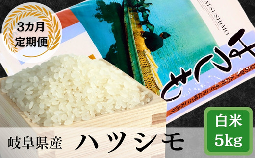≪令和7年産≫【3か月定期便】岐阜 ハツシモ （約5kg×3回）