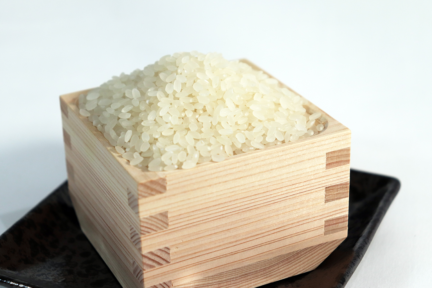 ≪令和7年産≫【6か月定期便】岐阜ミルキークイーン10kg(5kg×2袋)