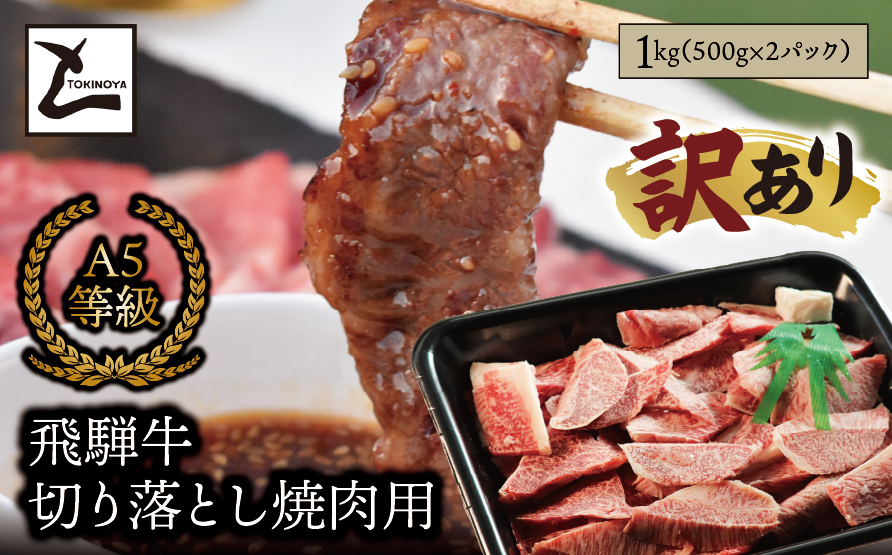 【訳あり】A5 飛騨牛 切り落とし 焼肉用 1kg（500g×2パック）｜岐阜県産 国産 黒毛和牛 ブランド牛 霜降り 不揃い 冷凍 贅沢 高級肉 おすすめ 人気 トキノ屋食品