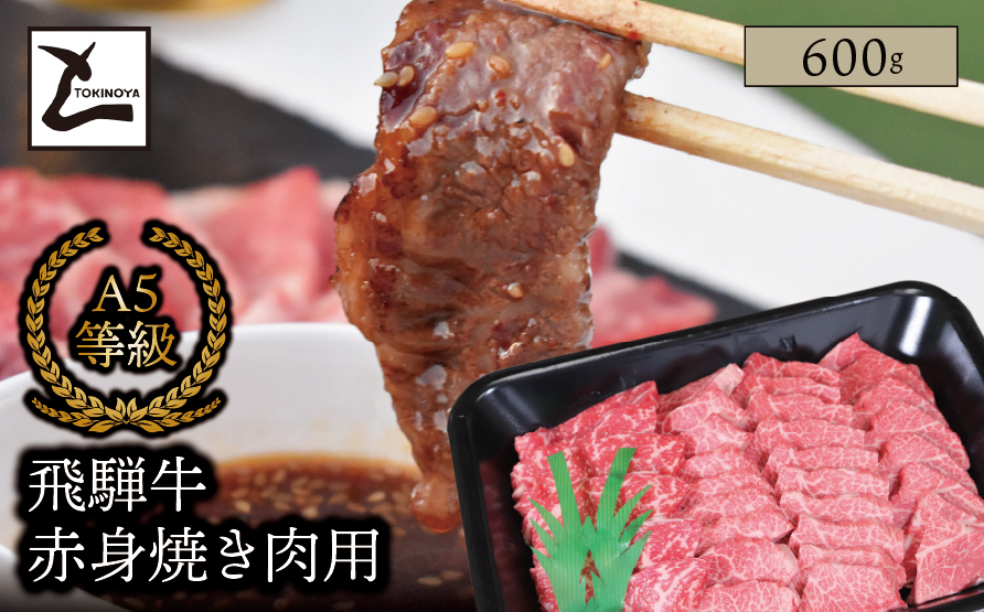 A5 飛騨牛 赤身 焼き肉用 600g｜岐阜県産 国産 黒毛和牛 ブランド牛 モモ肉 カタ肉 スライス 霜降り 冷凍 贅沢 高級肉 バーベキュー お歳暮 お中元 ギフト プレゼント おすすめ トキノ屋食品