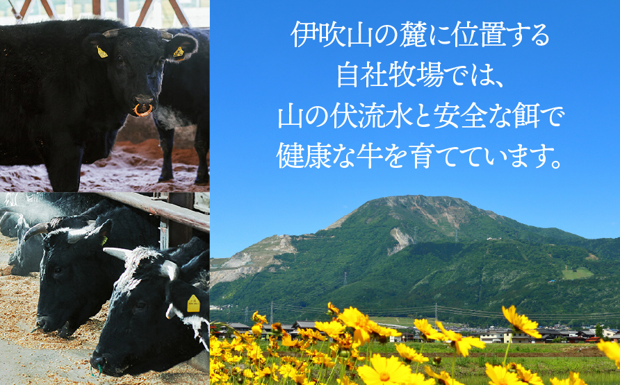 【12か月定期便】【飛騨牛】ロースまたは肩ロース 360g (すき焼き・しゃぶしゃぶ用) 2025/9/19〜