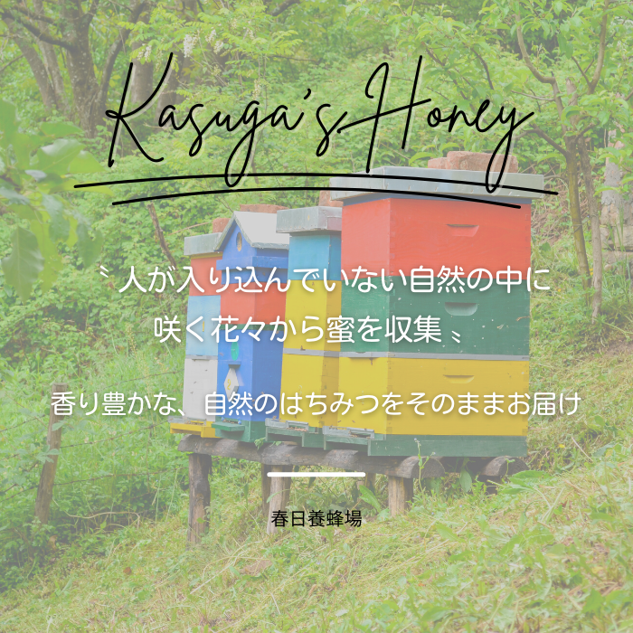 国産はちみつ1kg 2本セット 2025/9/19〜