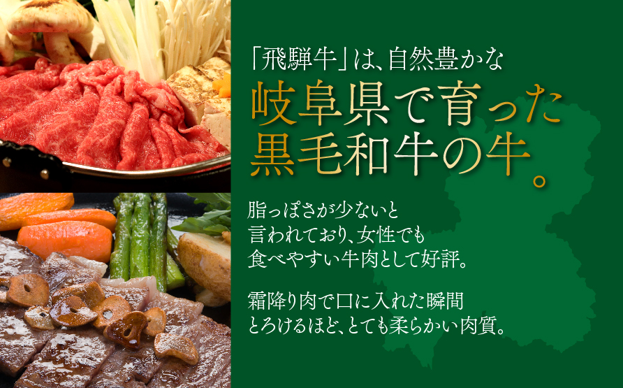 A5飛騨牛焼き肉食べ比べ5種1㎏セット