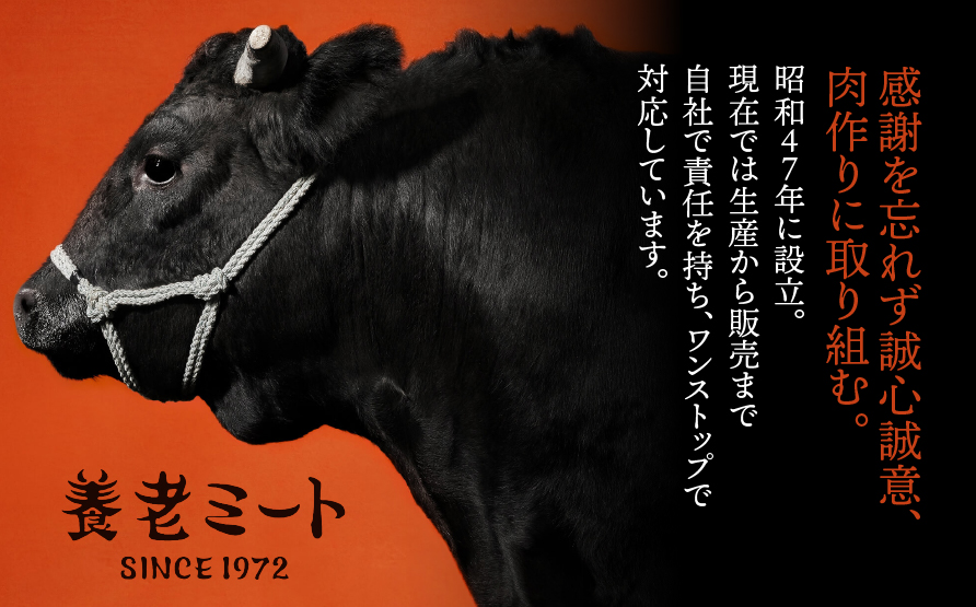 【12か月定期便】【飛騨牛】ロースまたは肩ロース 360g (すき焼き・しゃぶしゃぶ用) 2025/9/19〜