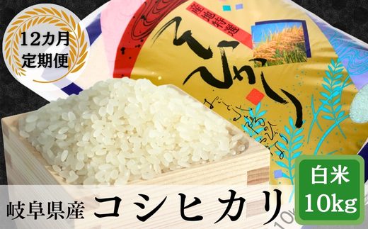 ≪令和6年産≫ 新米 【12か月定期便】岐阜コシヒカリ10kg