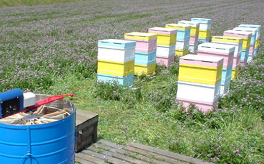 国産はちみつ1kg 2本セット 2025/9/19〜