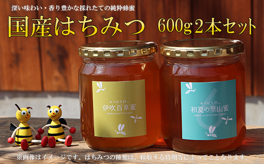 国産はちみつ600g2本セット 2025/9/19〜