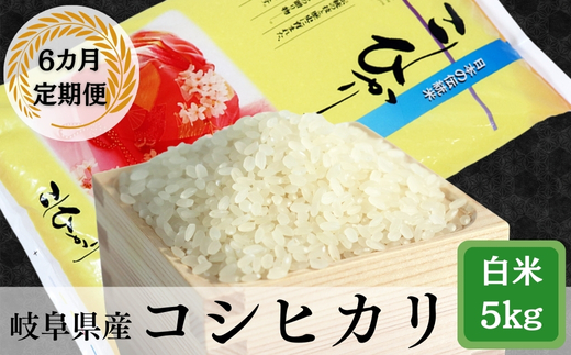 ≪令和6年産≫ 新米 【6か月定期便】岐阜コシヒカリ5kg