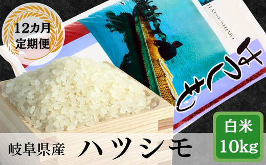 ≪令和6年産≫ 新米 【12か月定期便】岐阜ハツシモ10kg