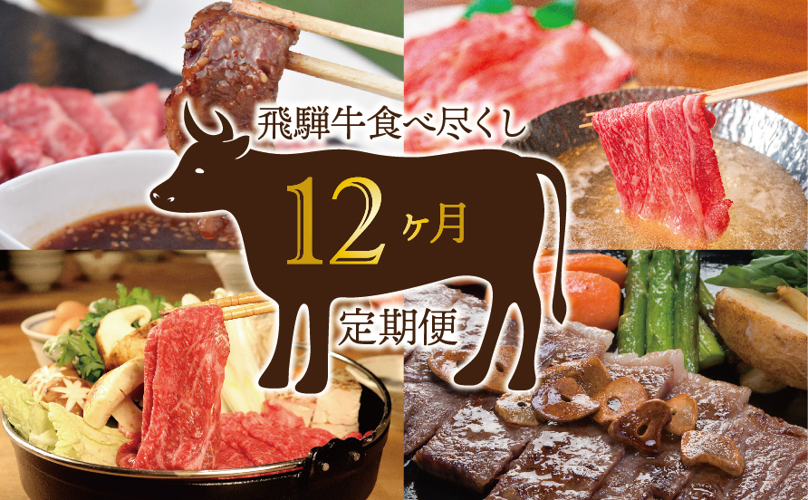 【12か月定期便】飛騨牛食べ尽くし