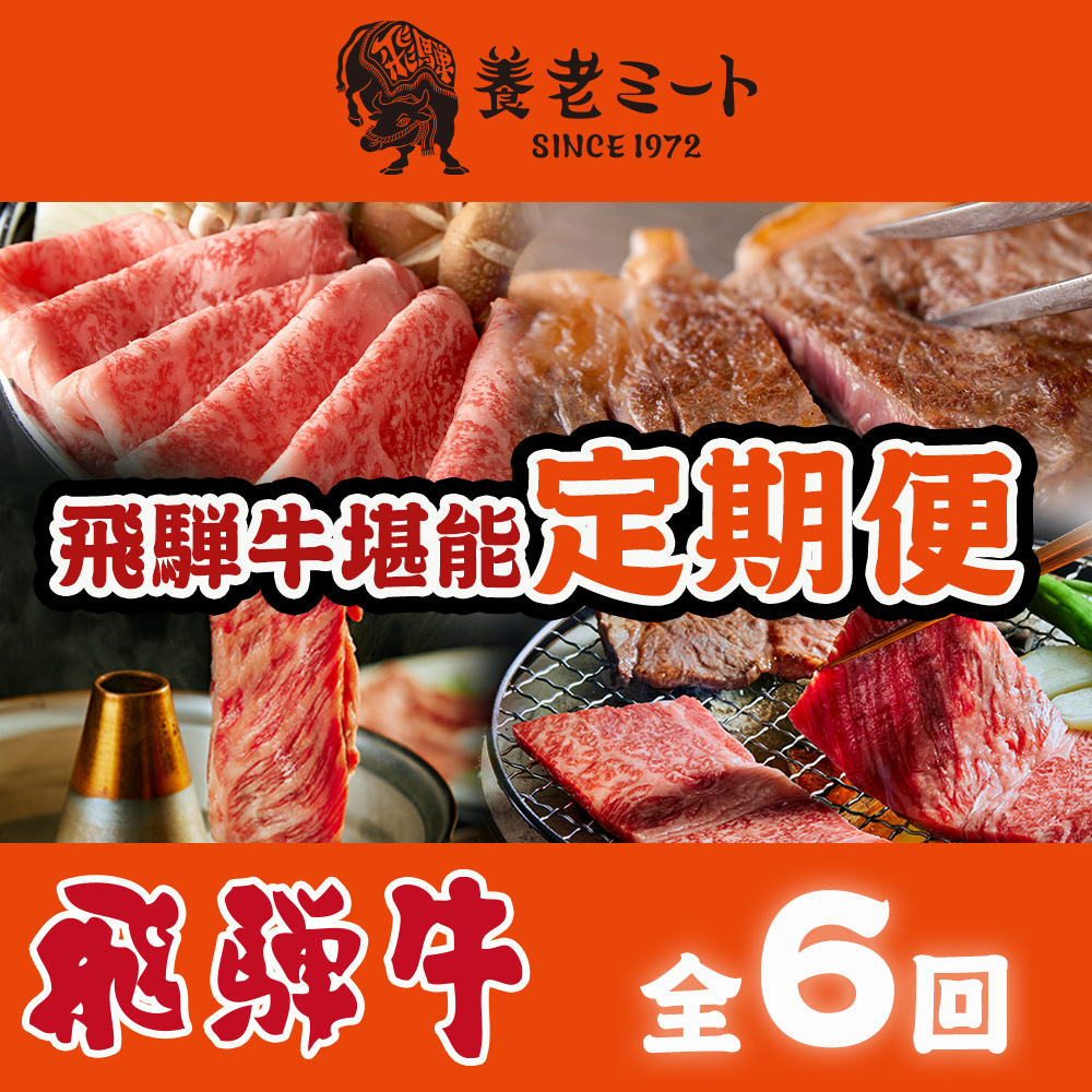 【6か月定期便】月替わりで色々な飛騨牛を楽しめる全6回