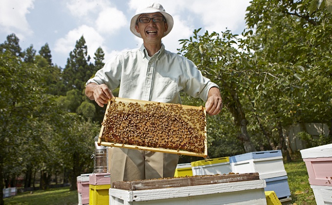 国産 生産直送 春日養蜂場のはちみつ1kg2本セット（武将シリーズ島津・小早川）