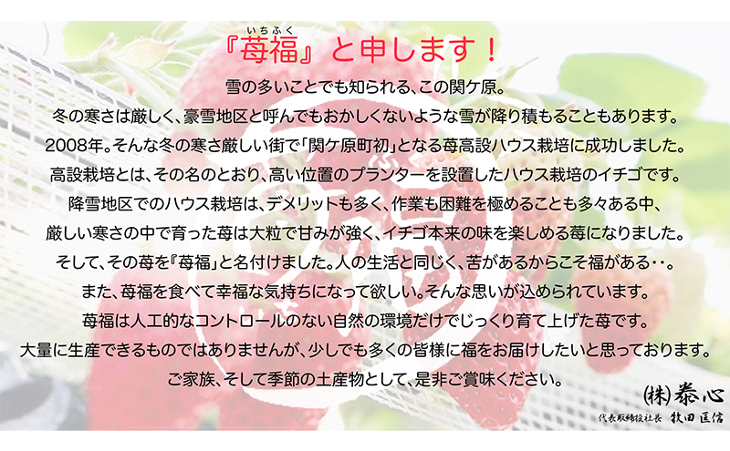 【関ケ原町産苺福使用】苺福ぷりん＆ジャムセット