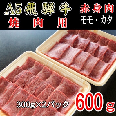 『A5等級』飛騨牛赤身肉焼肉用600g　モモ又はカタ肉【配送不可地域：離島】【1432069】