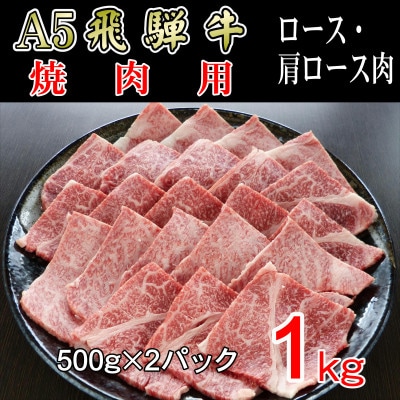 『A5等級』飛騨牛焼肉用1kg　ロース又は肩ロース肉【配送不可地域：離島】【1432057】