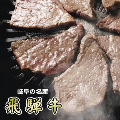 『A5等級』飛騨牛赤身肉焼肉用600g　モモ又はカタ肉【配送不可地域：離島】【1432069】