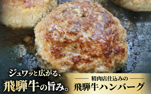 肉の鳥文精肉店 特製 飛騨牛ハンバーグ 20個【配送不可地域：離島】【1268359】