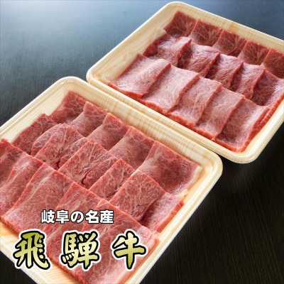 『A5等級』飛騨牛赤身肉焼肉用600g　モモ又はカタ肉【配送不可地域：離島】【1432069】