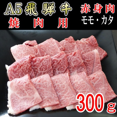 『A5等級』飛騨牛赤身肉焼肉用300g　モモ又はカタ肉【配送不可地域：離島】【1432065】