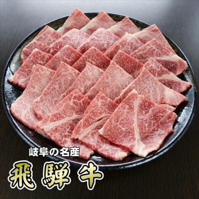 『A5等級』飛騨牛焼肉用1kg　ロース又は肩ロース肉【配送不可地域：離島】【1432057】