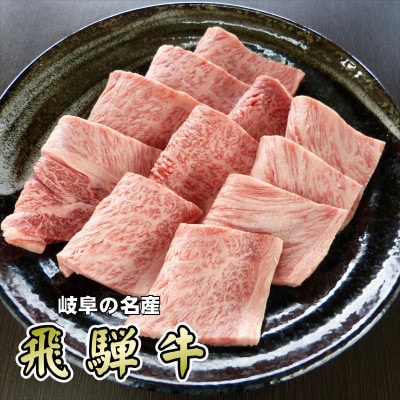 『A5等級』飛騨牛焼肉用600g　ロース又は肩ロース肉【配送不可地域：離島】【1432056】