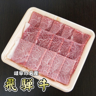 『A5等級』飛騨牛赤身肉焼肉用300g　モモ又はカタ肉【配送不可地域：離島】【1432065】