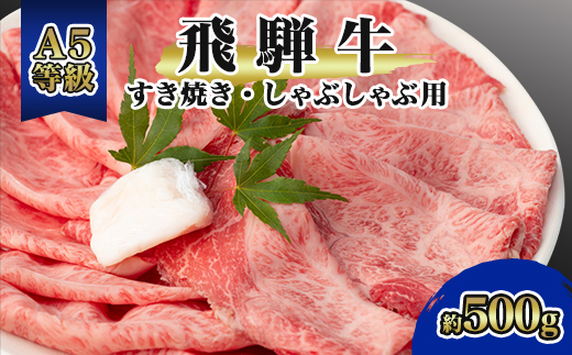 飛騨牛A5等級　モモ・カタ肉スライス　約500g【配送不可地域：離島】【1076920】