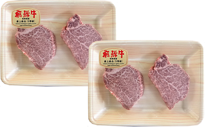 【5月上旬発送】飛騨牛ヒレステーキ用600g（5等級・冷凍）