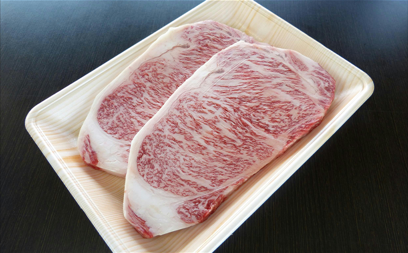 牛肉 飛騨牛 サーロイン ステーキ セット 600g（1枚 約300g×2枚） 黒毛和牛 Ａ5 美味しい お肉 牛 肉 和牛 サーロインステーキ 【岐阜県輪之内町】