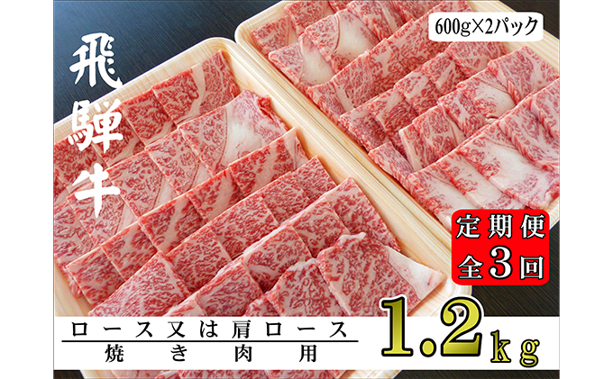 【3ヶ月定期便】A5ランク飛騨牛焼き肉1.2kg（ロース又は肩ロース）