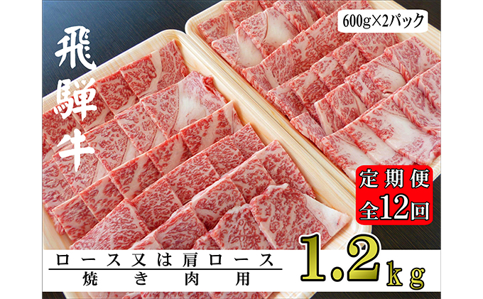 【12ヶ月定期便】A5ランク飛騨牛焼き肉1.2kg（ロース又は肩ロース）