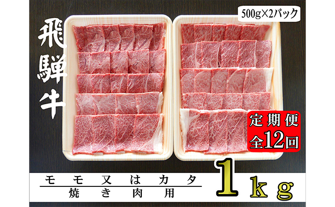 【12ヶ月定期便】A5ランク飛騨牛赤身肉焼き肉用1kg（モモ又はカタ）