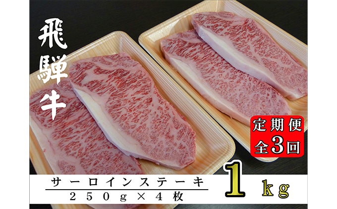 【3ヶ月定期便】A5ランク飛騨牛サーロインステーキ用1kg