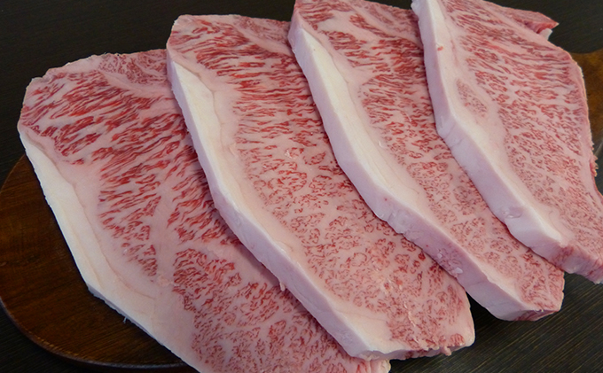 【6ヶ月定期便】A5ランク飛騨牛サーロインステーキ用1kg