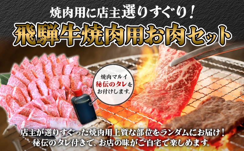 飛騨牛 焼肉用 A4～A5等級使用 約1kg 500g×2パック 肉 牛肉 和牛 ブランド牛 お肉 ビーフ A4ランク A5ランク 国産 お取り寄せ ご褒美 豪華 グルメ 焼肉 BBQ パーティー ギフト 贈り物 自家用 贈答用 送料無料 焼肉マルイ 岐阜県 【 安八町 】