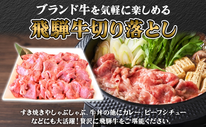 飛騨牛 切り落とし A3～A5等級使用 約3kg 約500g×6パック 肉 牛肉 和牛 ブランド牛 お肉 ビーフ しゃぶしゃぶ すき焼き 国産 お取り寄せ ご褒美 豪華 グルメ 焼肉 BBQ パーティー ギフト 贈り物 自家用 贈答用 送料無料 焼肉マルイ 岐阜県 【 安八町 】