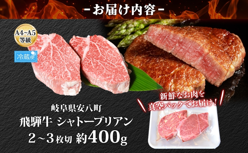 飛騨牛 シャトーブリアン ステーキ 約400g 2～3枚切り 肉 牛肉 和牛 ブランド牛 お肉 ビーフ ヒレ 希少部位 赤身 贅沢 国産 お取り寄せ ご褒美 豪華 グルメ 焼肉 BBQ パーティー ギフト 贈り物 自家用 贈答用 送料無料 焼肉マルイ 岐阜県 【 安八町 】