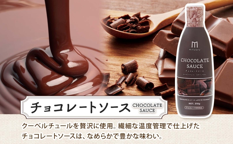  美ノ久 チョコレートソース 310g×2本 チョコレート ソース チョコ クーベルチュール チョコソース デザート アレンジ スイーツ ドリンク トッピング ワッフル パンケーキ チョコレートドリンク お取り寄せ ご当地 送料無料 岐阜県 安八町