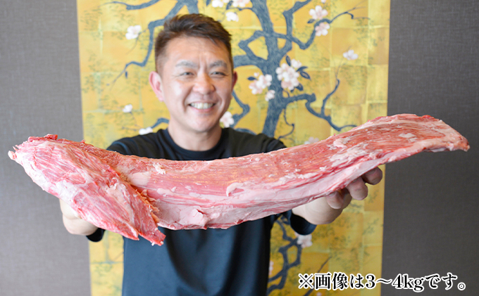 飛騨牛　ヒレ肉　2本　約6～8kg（ヒレブロック肉　シャトーブリアン）6～8分割　A4～A5等級使用