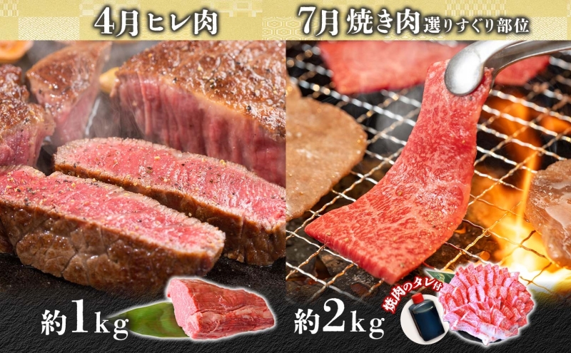 焼肉マルイ 飛騨牛 春夏秋冬お届けセット 4回 合計4.8kg 焼肉 A4 A5 等級 和牛 国産 国産牛 牛肉 鉄板焼き バーベキュー ステーキ すき焼き 冷蔵 日本産 ブランド和牛 お取り寄せグルメ 送料無料 岐阜県 安八町