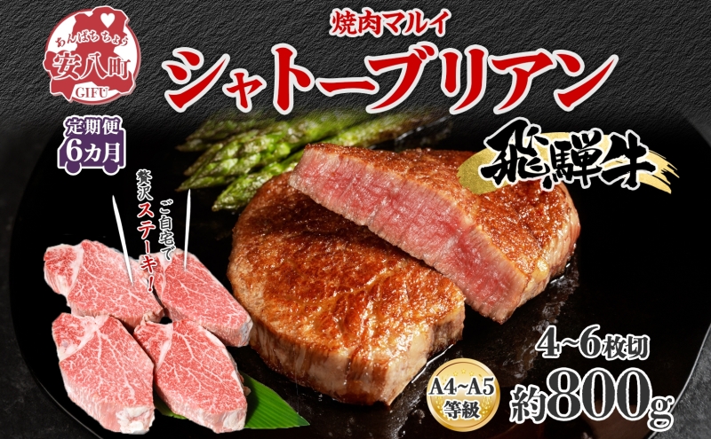 飛騨牛 シャトーブリアン ステーキ 6ヵ月定期便約800g 4～6枚切り×6 肉 牛肉 和牛 ブランド牛 お肉 ビーフ ヒレ 希少部位 赤身 贅沢 国産  ご褒美 豪華 グルメ 焼肉 BBQ パーティー ギフト 贈り物 自家用 贈答用 送料無料 焼肉マルイ 岐阜県 【 安八町 】