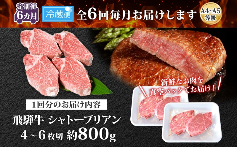 飛騨牛 シャトーブリアン ステーキ 6ヵ月定期便約800g 4～6枚切り×6 肉 牛肉 和牛 ブランド牛 お肉 ビーフ ヒレ 希少部位 赤身 贅沢 国産  ご褒美 豪華 グルメ 焼肉 BBQ パーティー ギフト 贈り物 自家用 贈答用 送料無料 焼肉マルイ 岐阜県 【 安八町 】