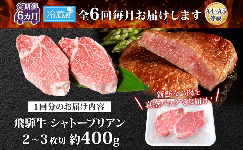 飛騨牛 シャトーブリアン ステーキ 6ヵ月定期便約400g 2～3枚切り×6 肉 牛肉 和牛 ブランド牛 お肉 ビーフ ヒレ 希少部位 赤身 贅沢 国産  ご褒美 豪華 グルメ 焼肉 BBQ パーティー ギフト 贈り物 自家用 贈答用 送料無料 焼肉マルイ 岐阜県 【 安八町 】