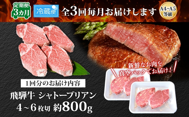 飛騨牛 シャトーブリアン ステーキ 3ヵ月定期便約800g 4～6枚切り×3 肉 牛肉 和牛 ブランド牛 お肉 ビーフ ヒレ 希少部位 赤身 贅沢 国産  ご褒美 豪華 グルメ 焼肉 BBQ パーティー ギフト 贈り物 自家用 贈答用 送料無料 焼肉マルイ 岐阜県 【 安八町 】