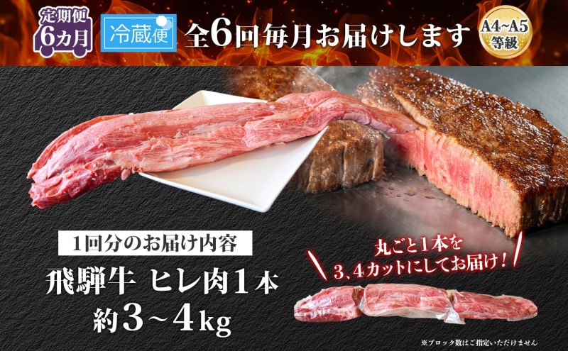 飛騨牛 ヒレ肉 ブロック A4～A5等級 1本6ヵ月定期便約3～4kg  3割×6 ヒレ シャトーブリアン 肉 牛肉 ブランド牛 お肉 和牛 贅沢 お取り寄せ ご褒美 ステーキ 豪華 グルメ 焼肉 BBQ パーティー ギフト 贈り物 自家用 贈答用 焼肉マルイ 岐阜県 【 安八町 】