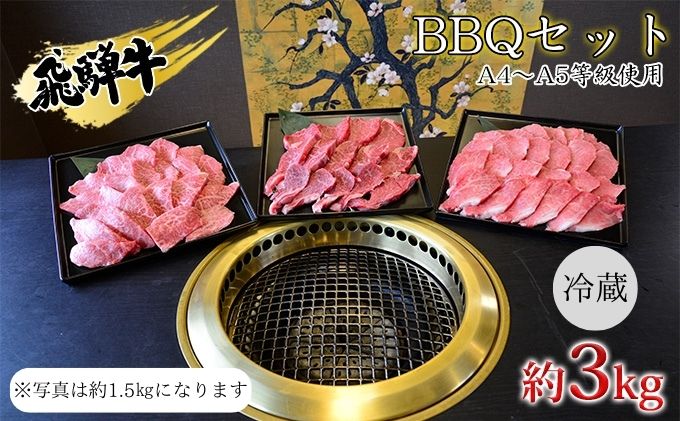 飛騨牛　BBQセット　約3kg　A4～A5等級使用